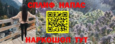 Альфа ПВП Пыть-Ях